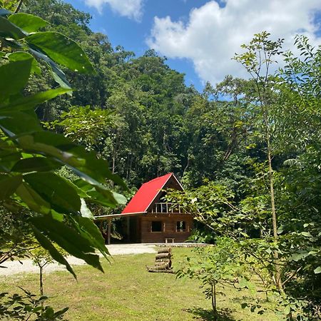 Chale Em Meio A Natureza! Guabiruba Bagian luar foto
