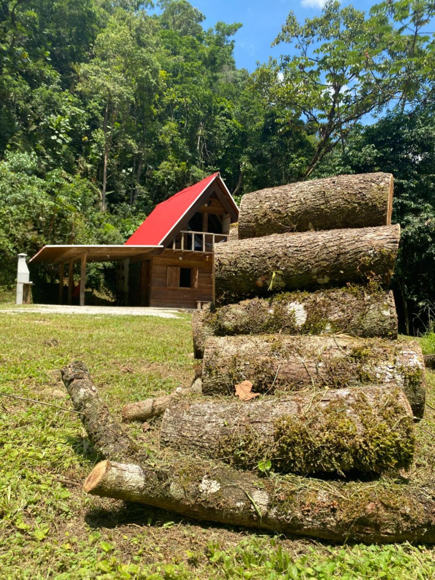 Chale Em Meio A Natureza! Guabiruba Bagian luar foto