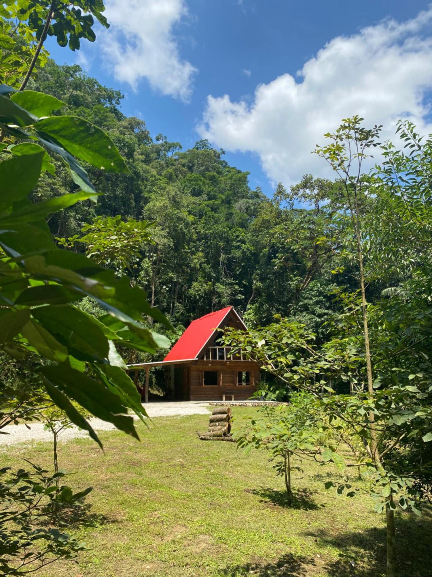 Chale Em Meio A Natureza! Guabiruba Bagian luar foto
