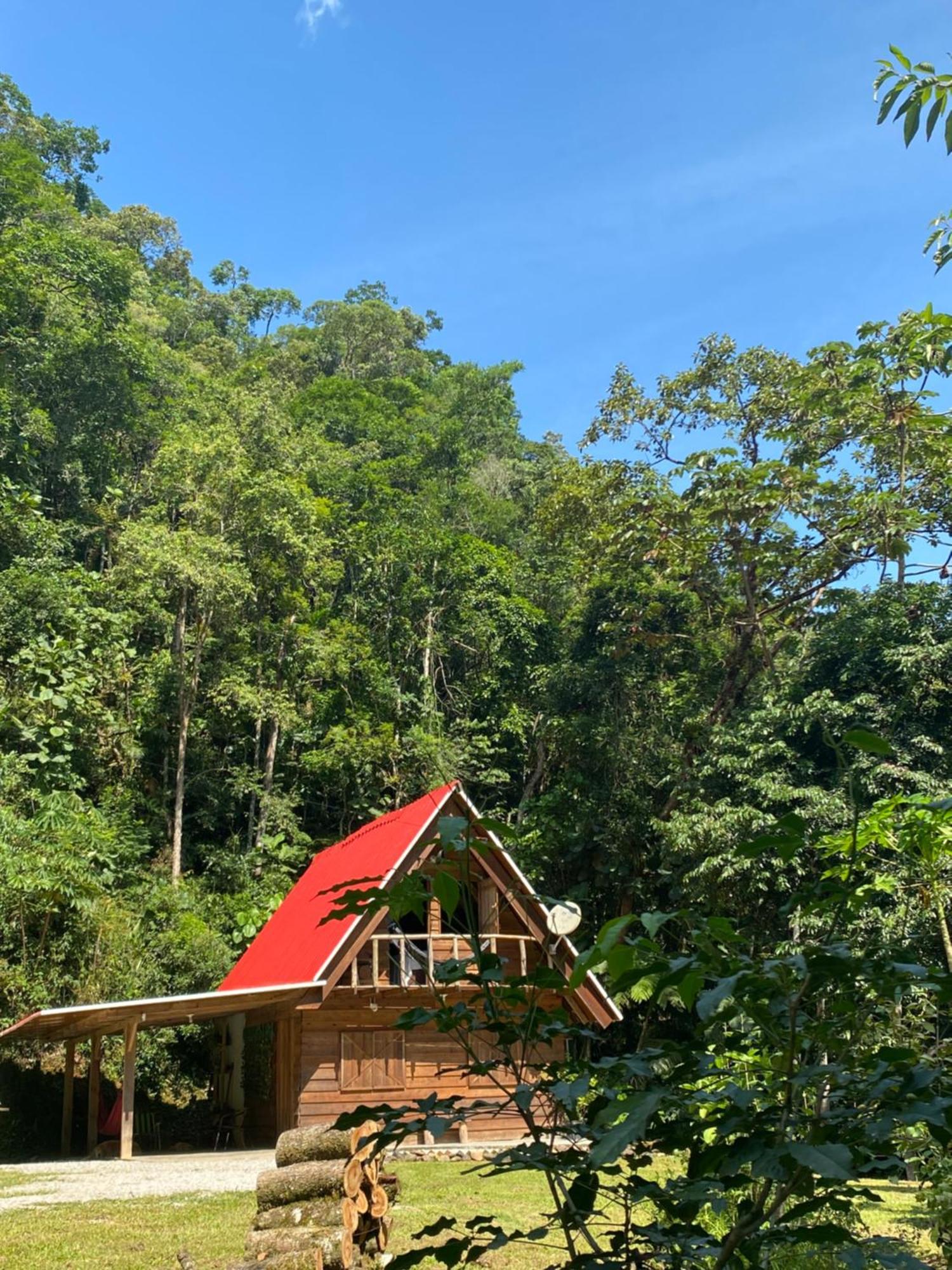 Chale Em Meio A Natureza! Guabiruba Bagian luar foto
